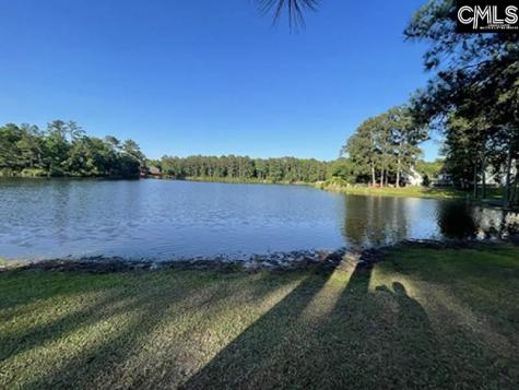 203 Pegonia Lane Blythewood SC 29016