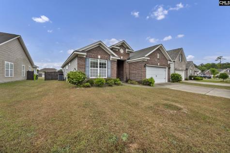 132 Flora Springs Circle Columbia SC 29223