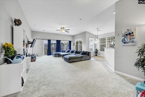 132 Flora Springs Circle Columbia SC 29223