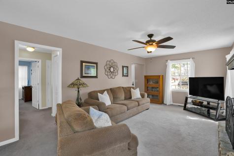 152 Toucan Way Lexington SC 29073-9377