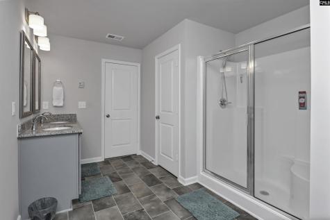 223 Chetsley Drive Lexington SC 29073