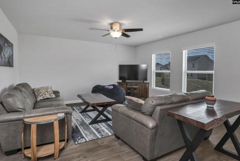 223 Chetsley Drive Lexington SC 29073