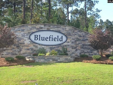 3519 Stedding Place Lexington SC 29073