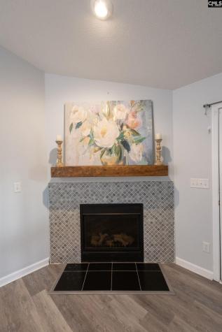 120 Deerchase Lane Lexington SC 29072