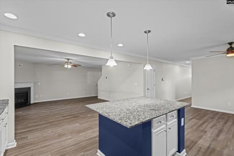 58 Mayapple Drive Lexington SC 29073