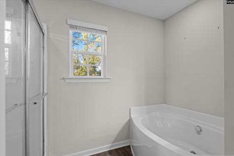 58 Mayapple Drive Lexington SC 29073