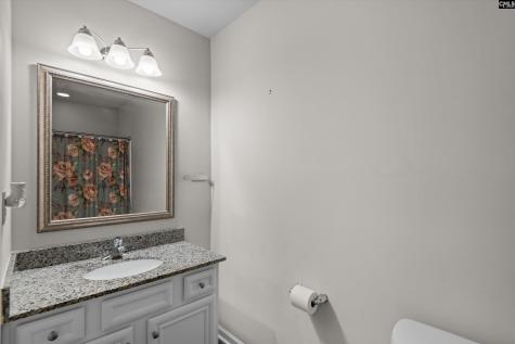 58 Mayapple Drive Lexington SC 29073