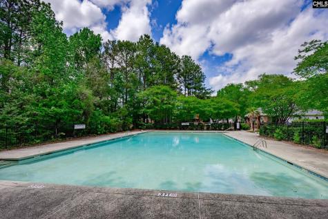 111 Malisa Drive Columbia SC 29229