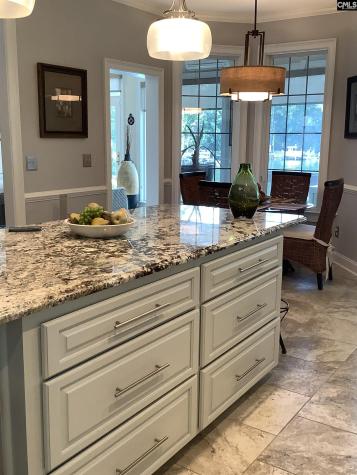 849 Island Point Lane Chapin SC 29036