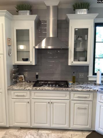 849 Island Point Lane Chapin SC 29036