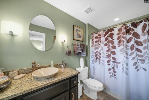 849 Island Point Lane Chapin SC 29036