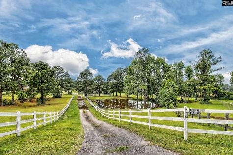 225 Pisgah Court Lexington SC 29072