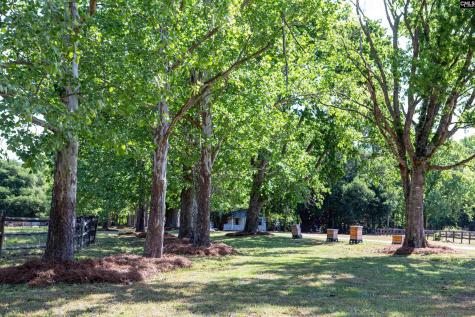 481 Cantey Lane Rembert SC 29128-0000