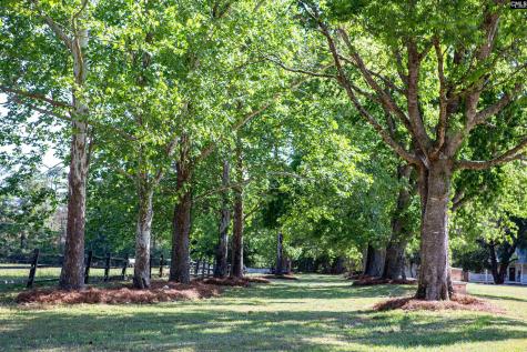 481 Cantey Lane Rembert SC 29128-0000