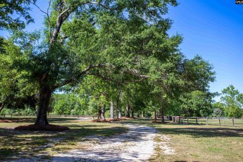 481 Cantey Lane Rembert SC 29128-0000