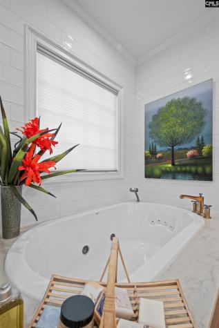 252 Waters Edge Drive Lexington SC 29072