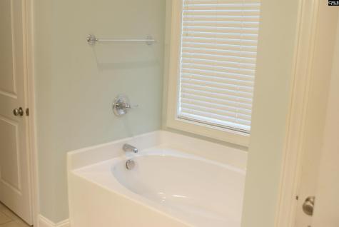 211 Bronze Drive Lexington SC 29072