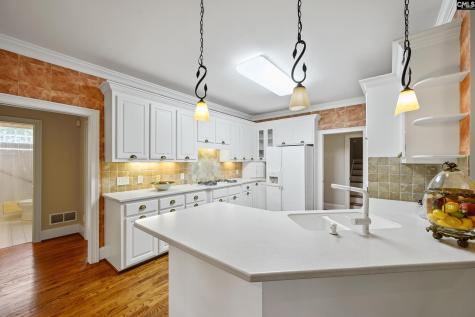 240 Palmer Drive Lexington SC 29072