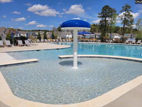 446 Edith Court Blythewood SC 29016