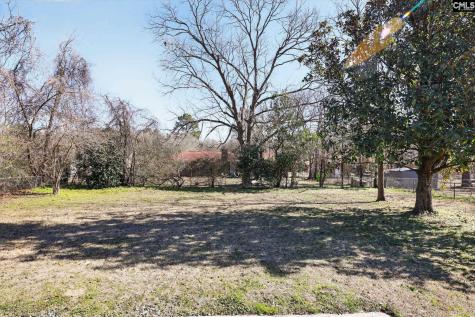 605 Chilhowie Road Columbia SC 29209