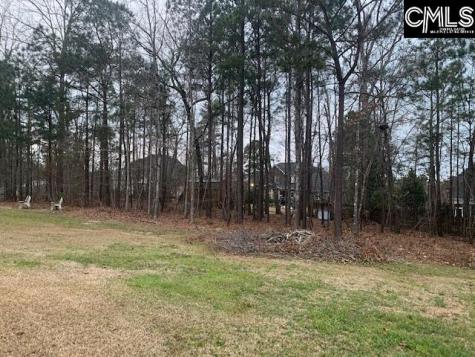 920 Ringbelle Row Blythewood SC 29016