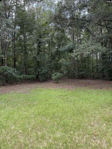 3124 Pine Plain Road Swansea SC 29160