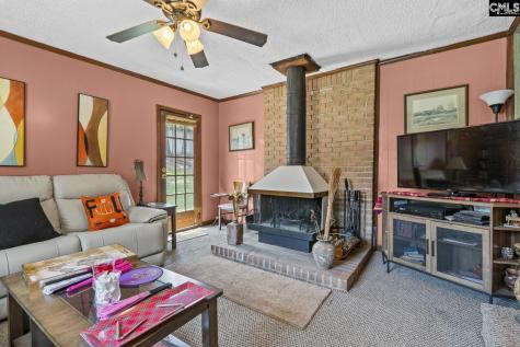 203 Luther Road Columbia SC 29210