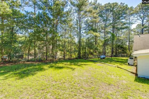 3552 Fish Hatchery Road Gaston SC 29053