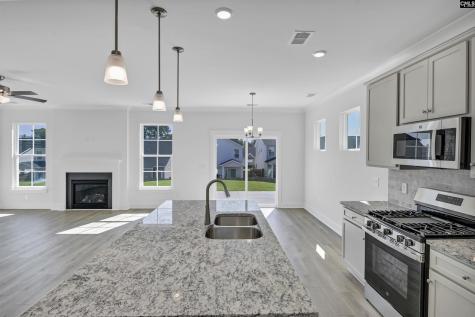620 Thunder Gulch Avenue Lexington SC 29073