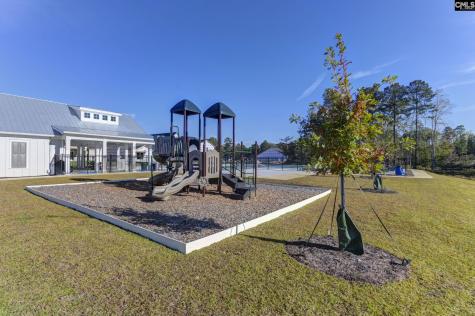 620 Thunder Gulch Avenue Lexington SC 29073