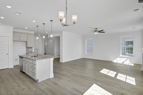 620 Thunder Gulch Avenue Lexington SC 29073