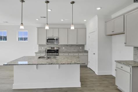 620 Thunder Gulch Avenue Lexington SC 29073