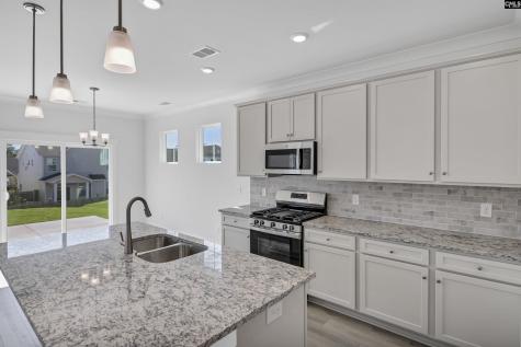 620 Thunder Gulch Avenue Lexington SC 29073