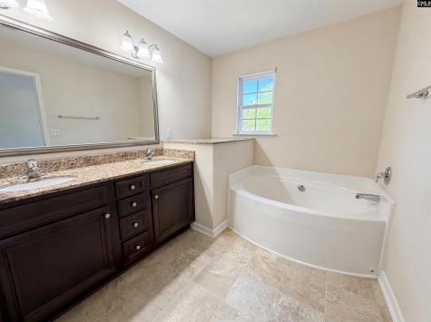 254 Sorrel Tree Drive Columbia SC 29223