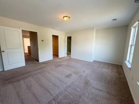 254 Sorrel Tree Drive Columbia SC 29223