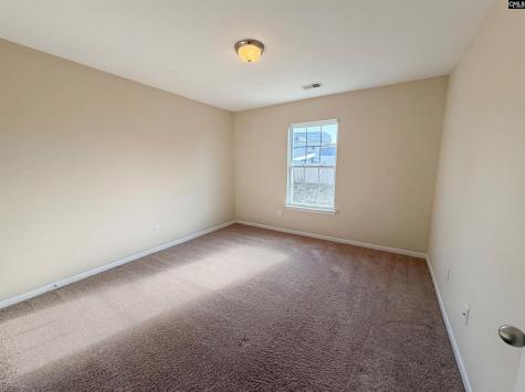 254 Sorrel Tree Drive Columbia SC 29223