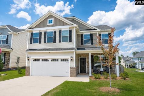 510 Palmerston Way Chapin SC 29036