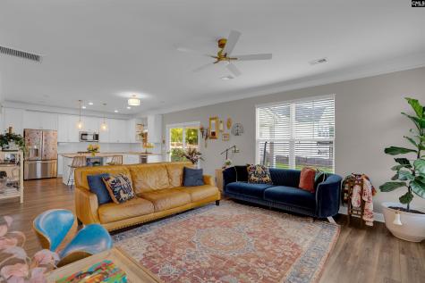 510 Palmerston Way Chapin SC 29036