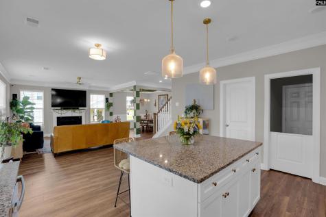 510 Palmerston Way Chapin SC 29036