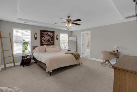 510 Palmerston Way Chapin SC 29036