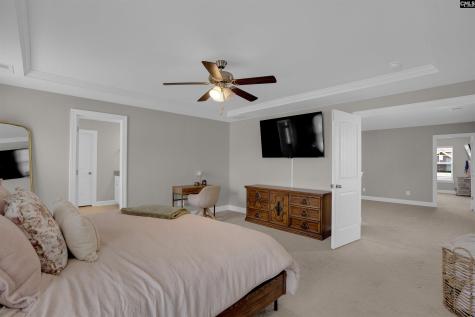 510 Palmerston Way Chapin SC 29036