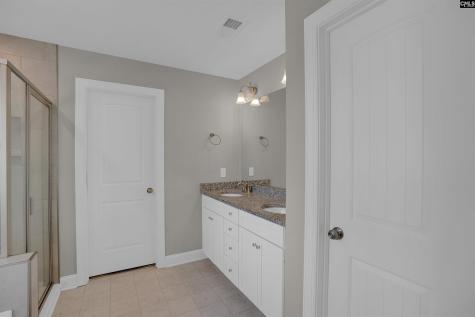 510 Palmerston Way Chapin SC 29036