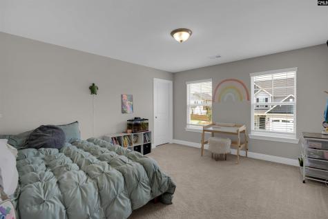 510 Palmerston Way Chapin SC 29036