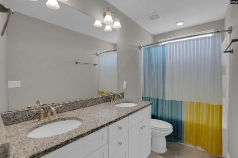 510 Palmerston Way Chapin SC 29036
