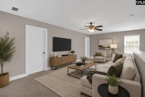 510 Palmerston Way Chapin SC 29036