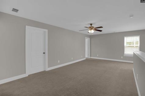 510 Palmerston Way Chapin SC 29036