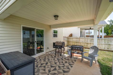 510 Palmerston Way Chapin SC 29036