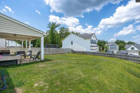510 Palmerston Way Chapin SC 29036