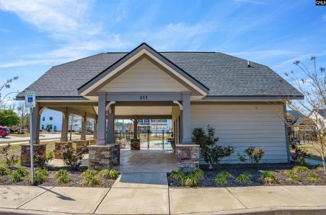510 Palmerston Way Chapin SC 29036