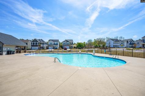 510 Palmerston Way Chapin SC 29036
